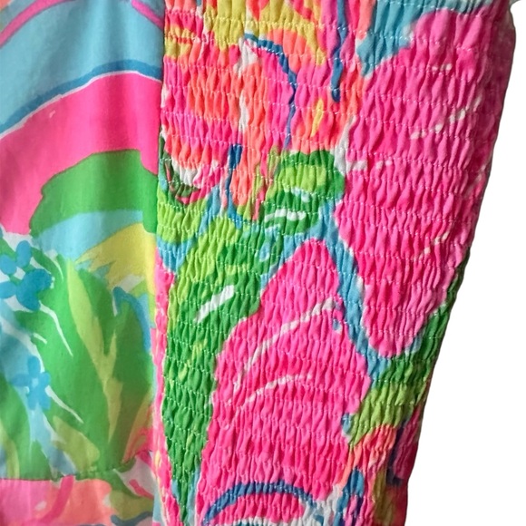 NWT! Lilly Pulitzer Fit and Flare Dress So A-Peeling Size 10 - Picture 4 of 10